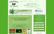 Cannabis Revival Film Festival